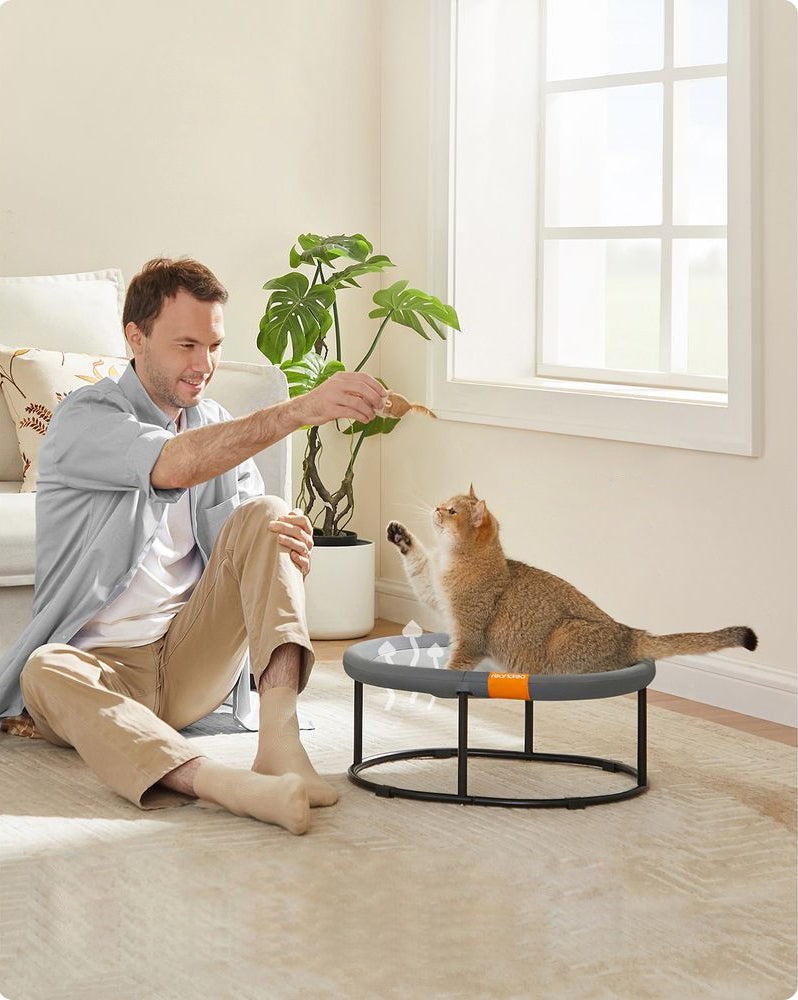 Katzenbäume für Seniorkatzen: Eine luxuriöse Notwendigkeit