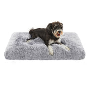 PGW201G01
